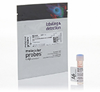 Molecular Probes™ Alexa Fluor™ 405 NHS Ester (Succinimidyl Ester)