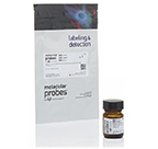 Molecular Probes™ Alexa Fluor™ 488 TFP ester