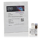 Molecular Probes™ SYTOX™ AADvanced™ Dead Cell Stain Kit