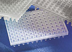 Corning™ Thermowell™ 96-Well Polypropylene PCR Microplates