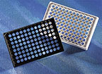 Corning™ 96-Well, Cell Culture-Treated, Flat-Bottom Microplate