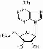 MilliporeSigma™ Calbiochem™ 5′-Deoxy-5′-methylthioadenosine